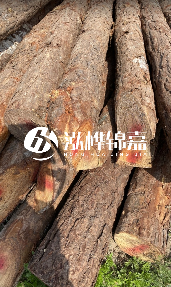 <strong>松木樁和杉木樁的用途區(qū)別？哪個(gè)更適合打樁用？</strong>