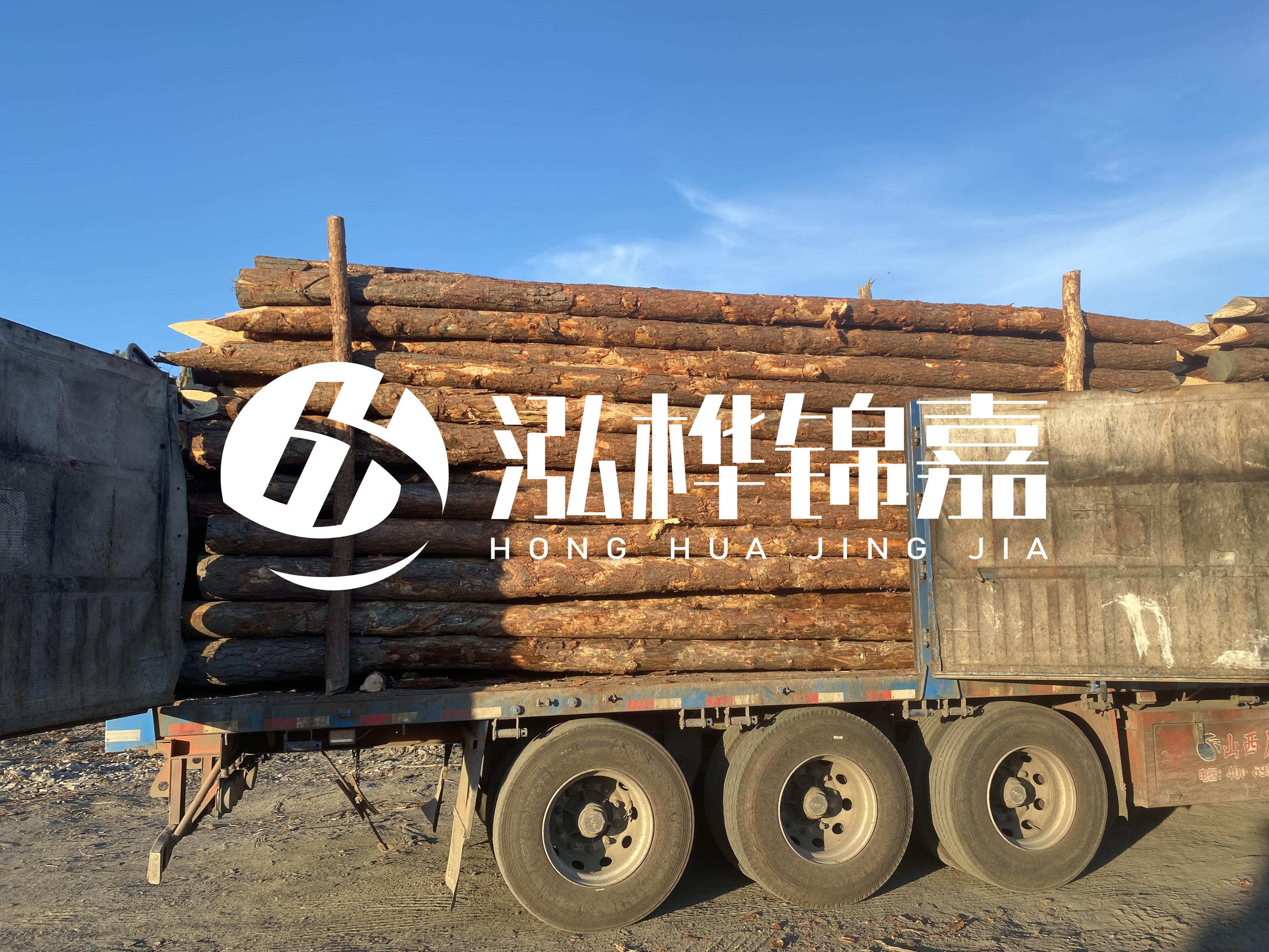 河道治理為什么要用松木樁？