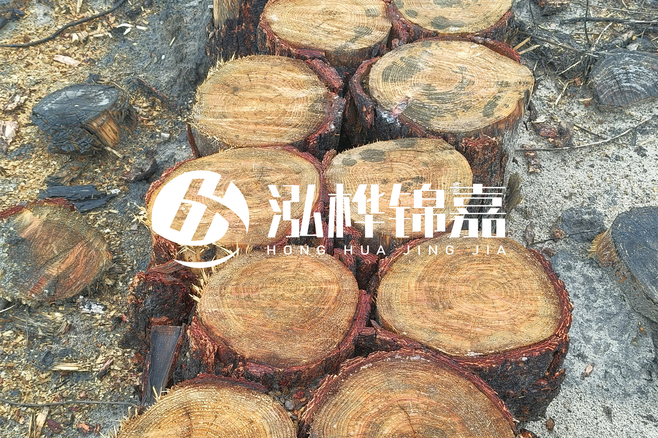 浙江臺州有清淤的公司嗎？浙江臺州有清淤施工隊嗎？
