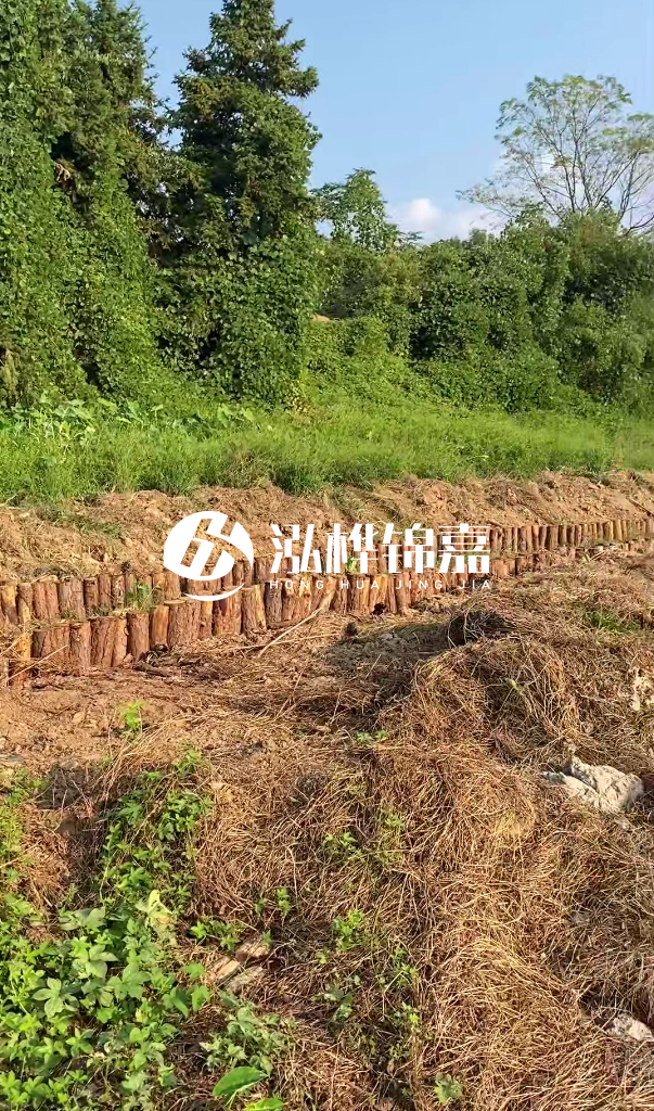 許昌河道清淤專業(yè)施工-河道污水治理要多長(zhǎng)時(shí)間？