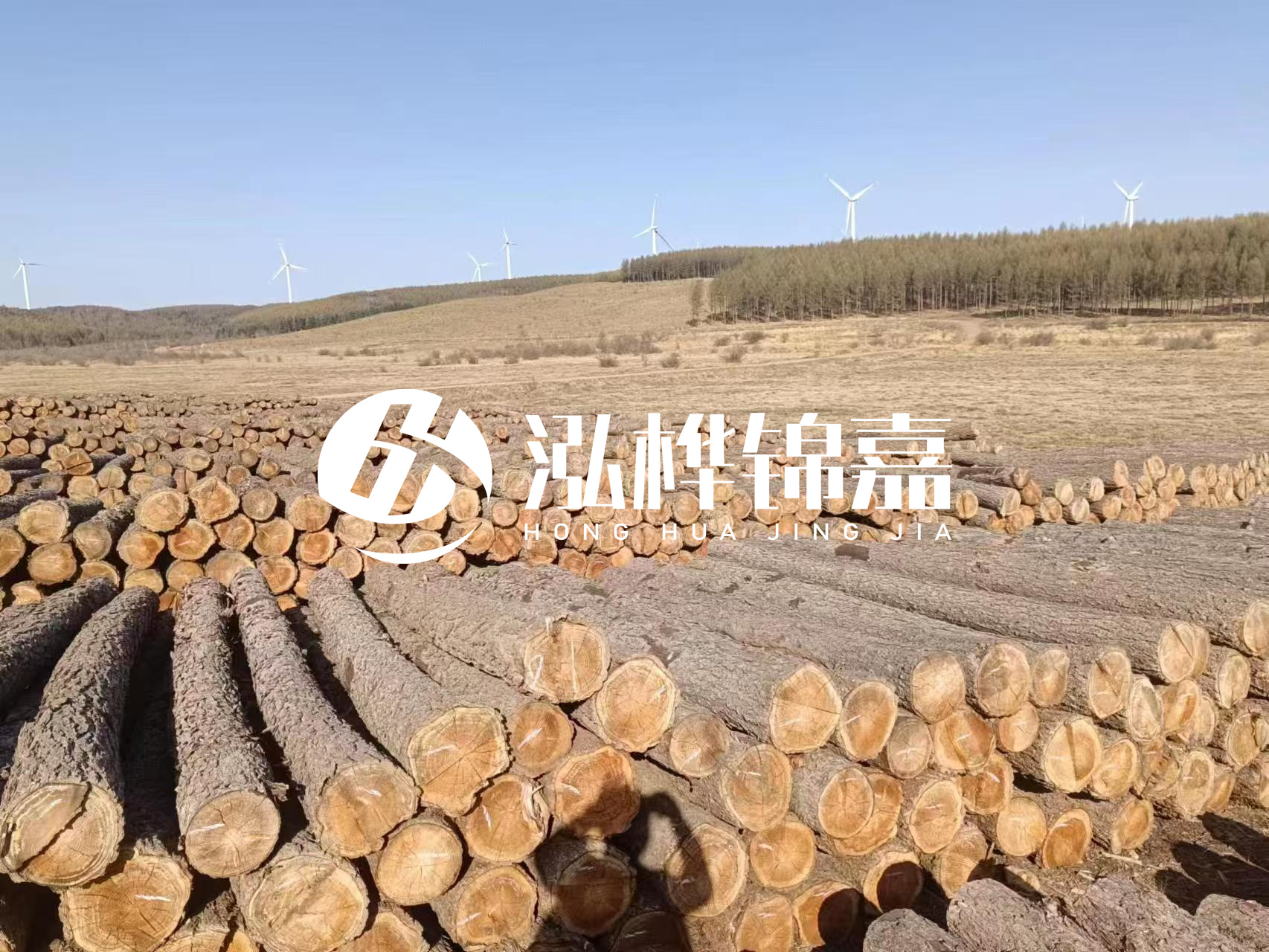 咸寧松木樁源頭廠家-哪里能買到質(zhì)量好的松木樁打樁木？