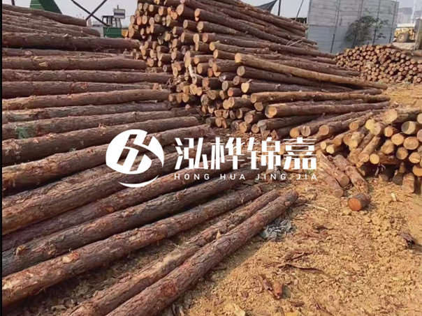 河道木樁施工遇到淤泥怎么辦？打多深才能防沖刷？