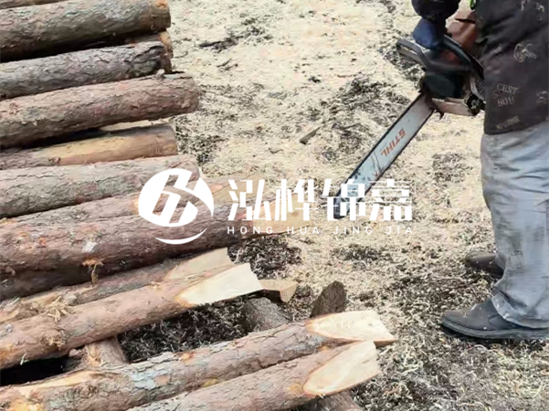 杉木樁批發(fā)廠家哪家好？產(chǎn)地直供渠道推薦！