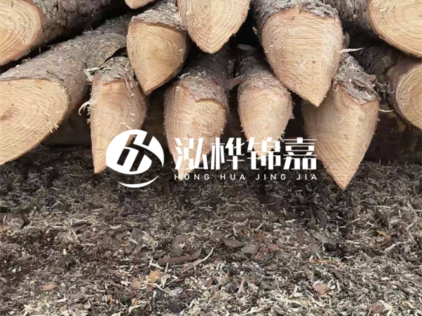 打樁木樁與鋼樁相比有哪些優(yōu)缺點(diǎn)？如何進(jìn)行后期維護(hù)？