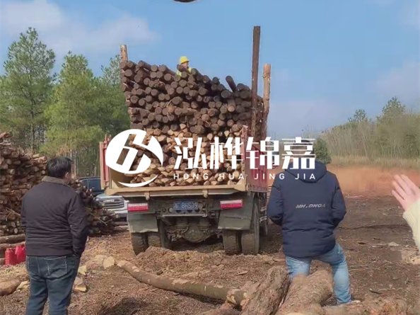 松木樁價格是按米算還是按根算？6米松木樁批發(fā)價每根多少錢？