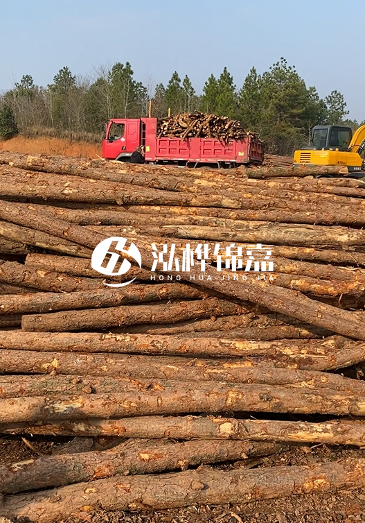 8米小頭11-13CM的松木樁價格是多少？打樁施工怎么算？