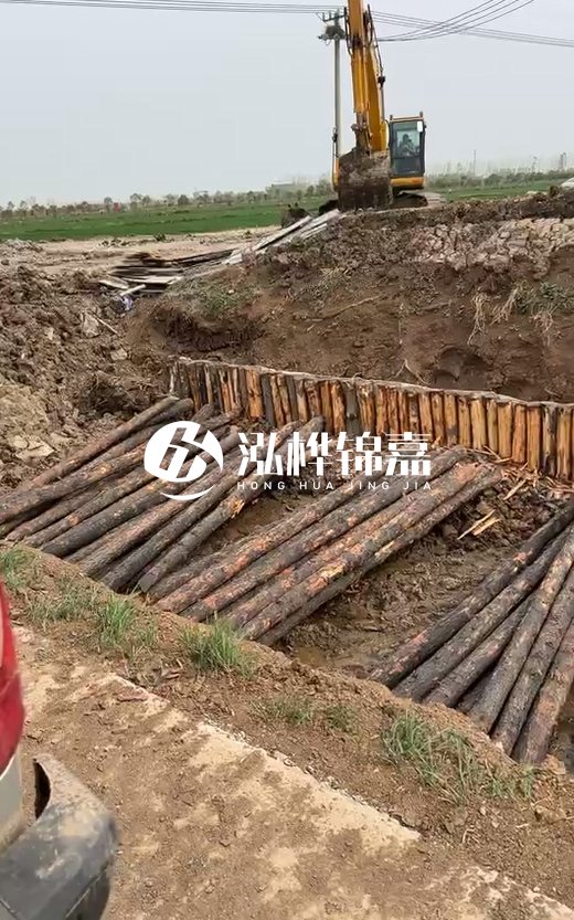 4米直徑12-13油松批發(fā)價最低多少？報價含稅含運嗎？