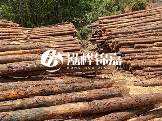 松木樁的運(yùn)輸費(fèi)用是否包含卸車費(fèi)？卸貨時(shí)需要注意哪些安全問題？