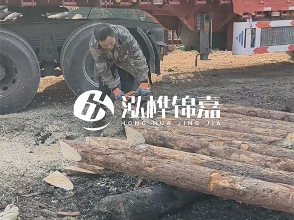 松木圓木價(jià)格大概多少一方-松木樁廠家按方可以賣嗎？