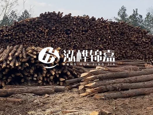地基打木樁用什么木材 - 地基打木樁的能撐幾年？