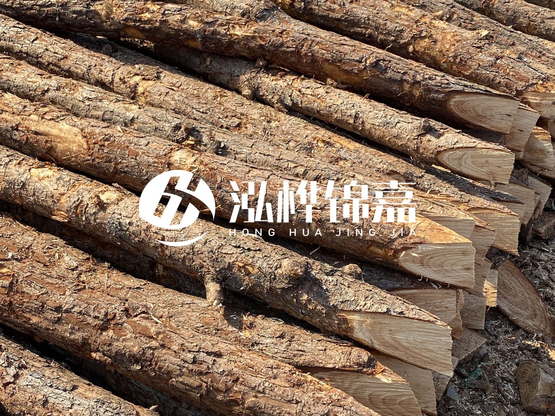 8 米超大直徑松木樁的價格是多少？帶皮和去皮松木樁價格差多少？