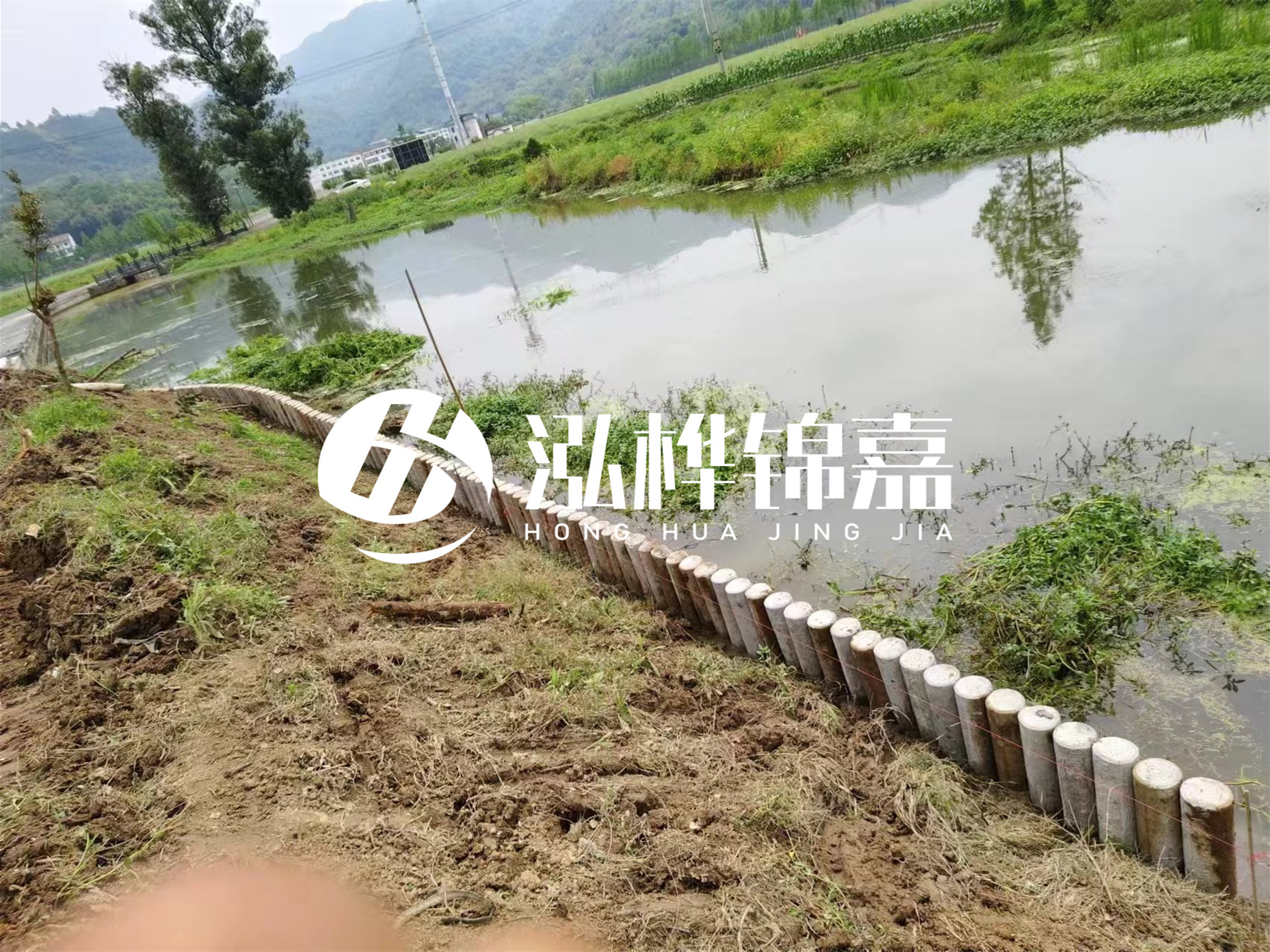 松木樁加固河道與水泥樁對比如何？哪一種更加適合您？