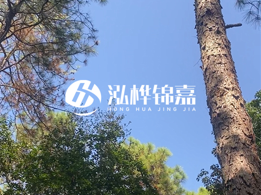 松木樁廠家的供貨能力強(qiáng)不強(qiáng)-怎么才能聯(lián)系到松木樁廠家？