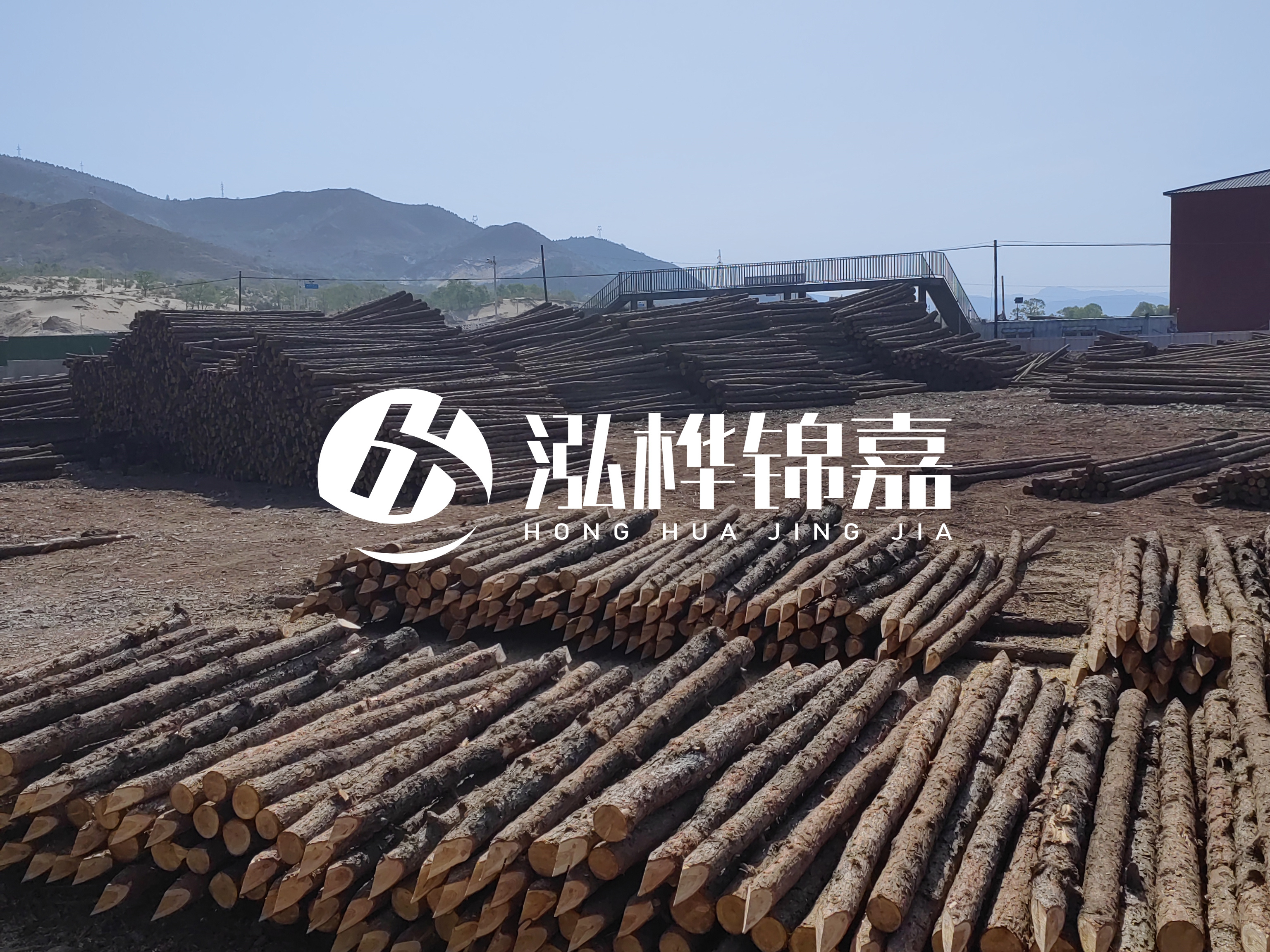 江蘇打樁木源頭廠家泓樺錦嘉-4米打樁木大頭14-16小頭一般多少？