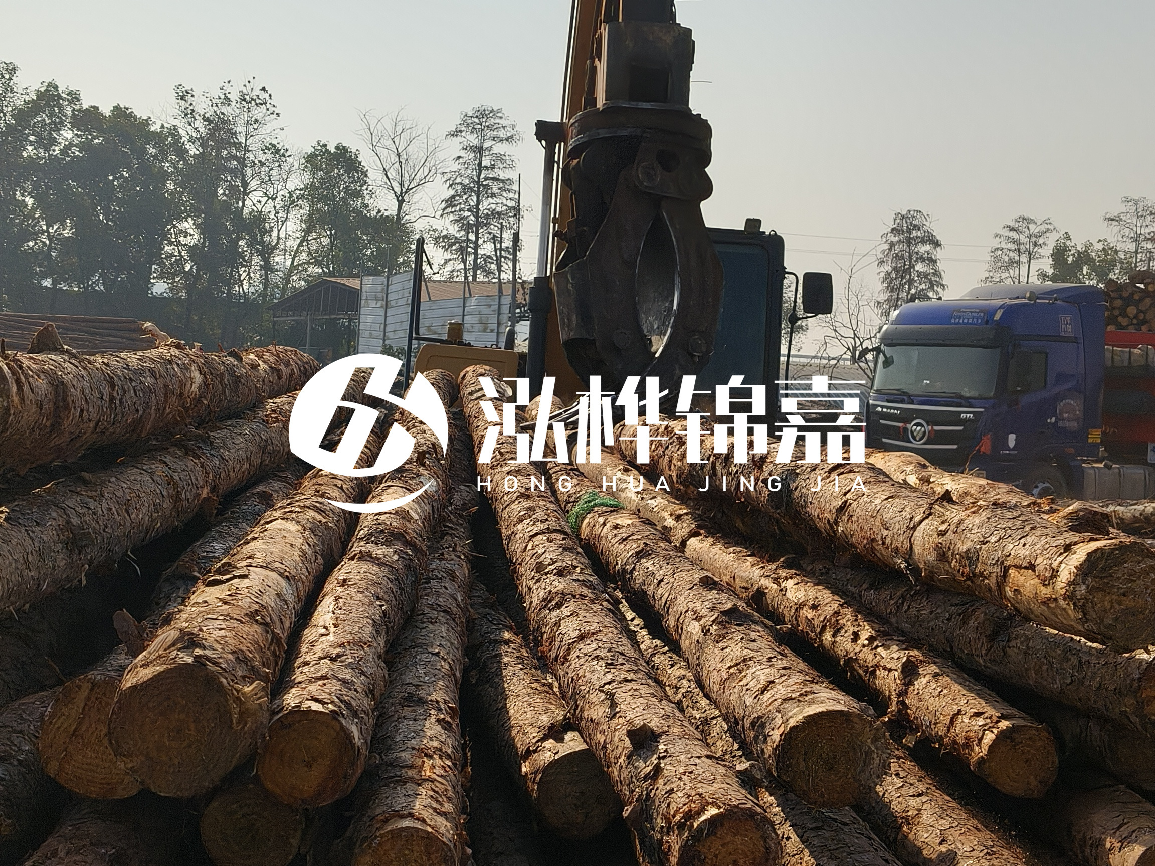 松木樁可以用來做什么？常用于哪些工程？