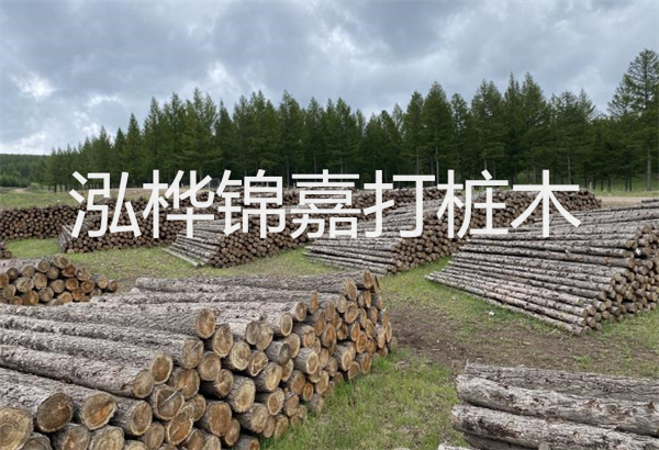 預(yù)制松木樁施工工藝：優(yōu)質(zhì)材料，高效快速，堅固耐用