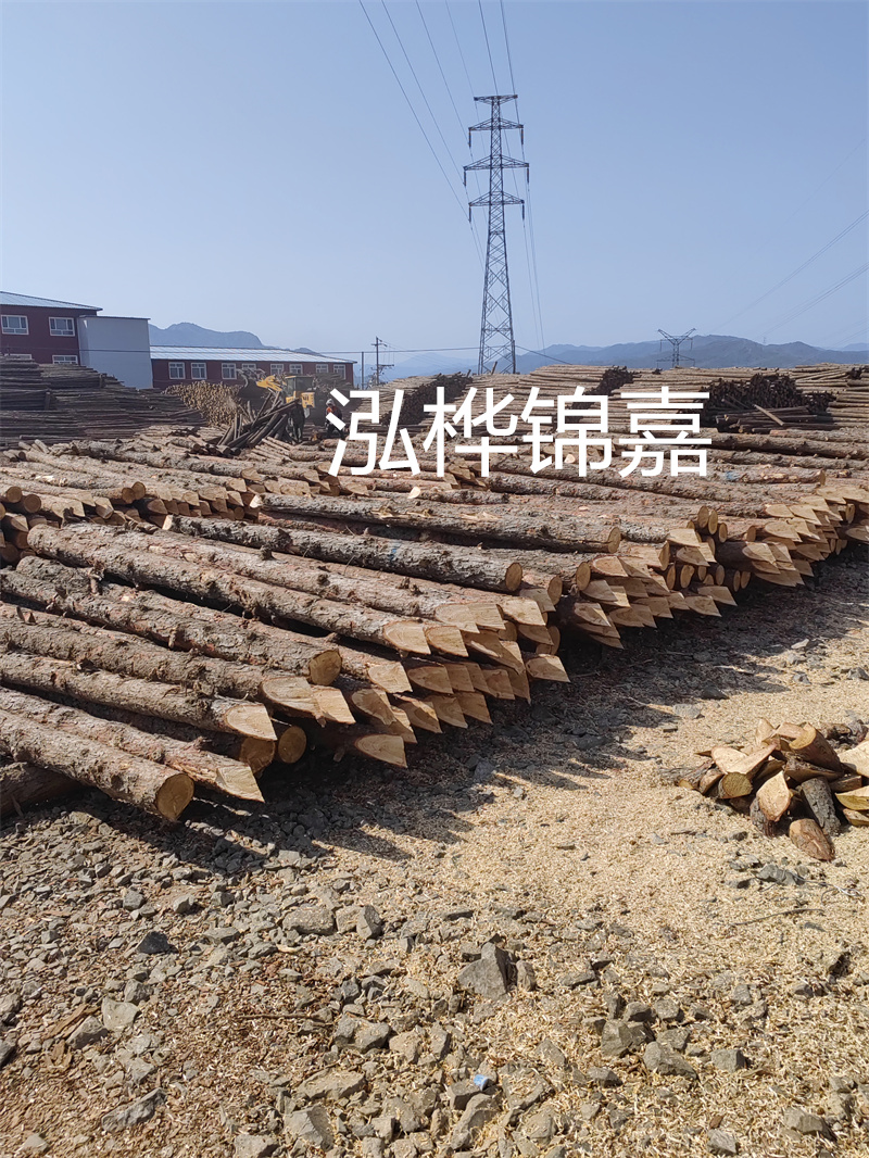 深入了解松木樁基礎(chǔ)施工單價(jià)，助力工程建設(shè)順利進(jìn)行！