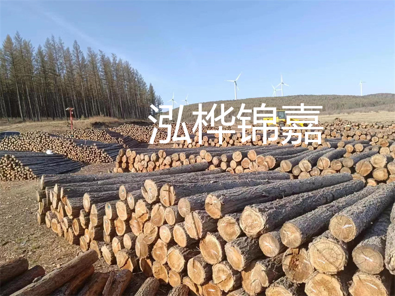 用路基松木樁施工方案提升工程質(zhì)量描述：了解路基松木樁施工方案的重要性，提高工程質(zhì)量關(guān)鍵詞：路基松木樁，施工方案，工程質(zhì)量