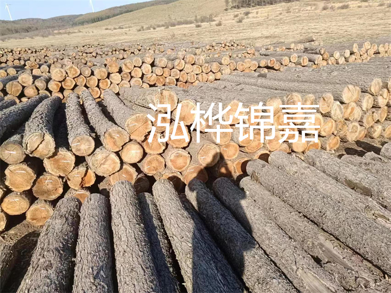 鹽城松木樁河道圍堰施工，保護生態(tài)環(huán)境，打造美麗城市