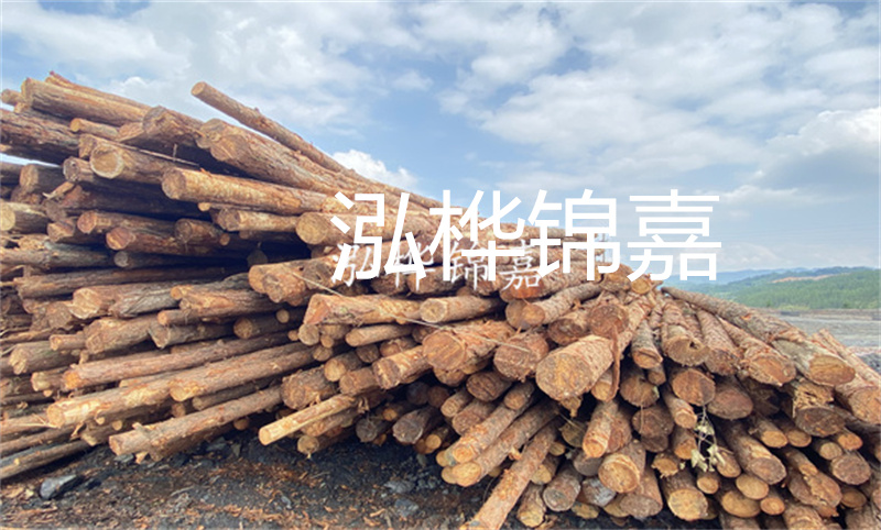 濮陽松木樁，卓越品質(zhì)，安全可靠