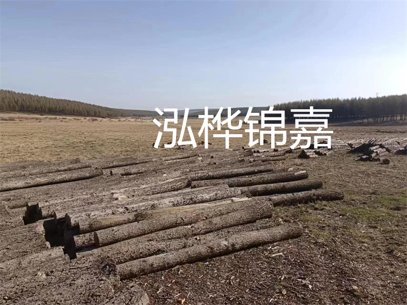 鄂州松木樁哪里好？推薦泓樺錦嘉松木樁業(yè)！